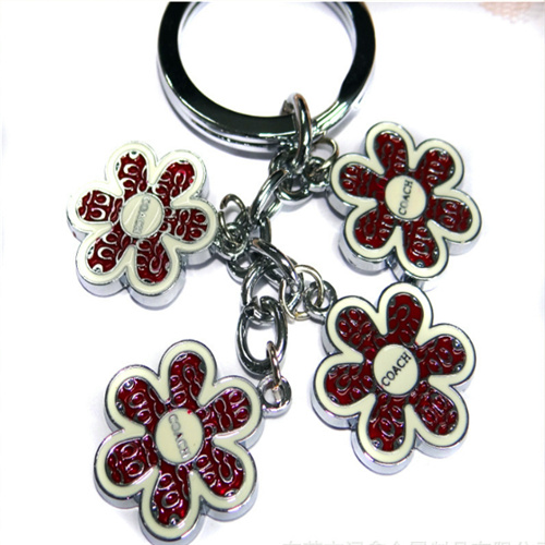 Diecast wisteria enamel keychain